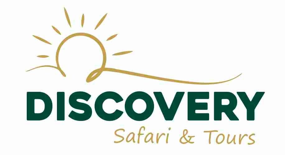 discovery safari gran canaria
